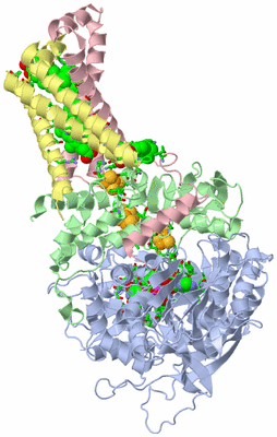 Image Asym./Biol. Unit - sites