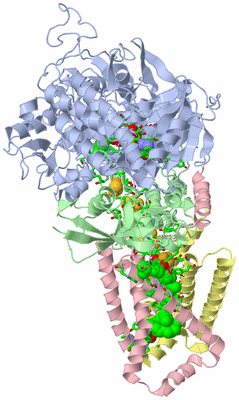 Image Asym./Biol. Unit - sites