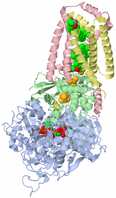 Image Asym./Biol. Unit