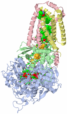 Image Asym./Biol. Unit - sites