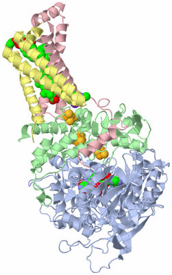 Image Asym./Biol. Unit