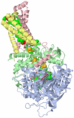 Image Asym./Biol. Unit - sites