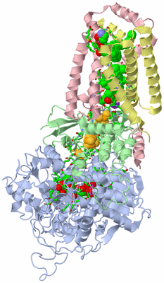 Image Asym./Biol. Unit - sites