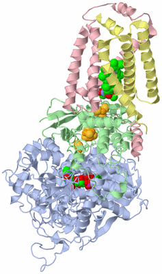 Image Asym./Biol. Unit