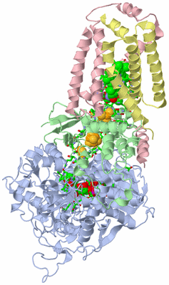 Image Asym./Biol. Unit - sites