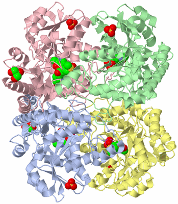 Image Asym./Biol. Unit