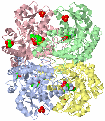 Image Asym./Biol. Unit