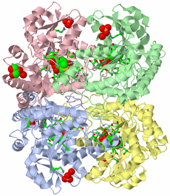 Image Asym./Biol. Unit - sites