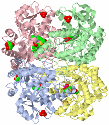 Image Asym./Biol. Unit