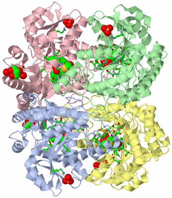 Image Asym./Biol. Unit - sites