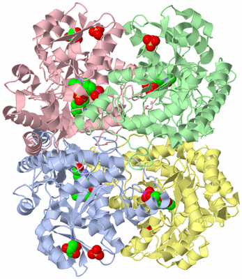 Image Asym./Biol. Unit