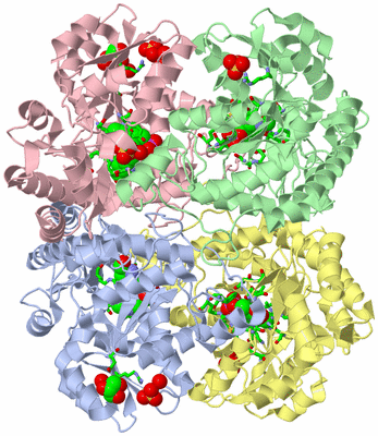 Image Asym./Biol. Unit - sites