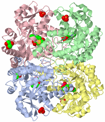 Image Asym./Biol. Unit