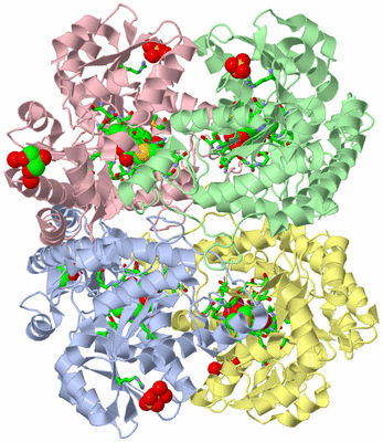 Image Asym./Biol. Unit - sites