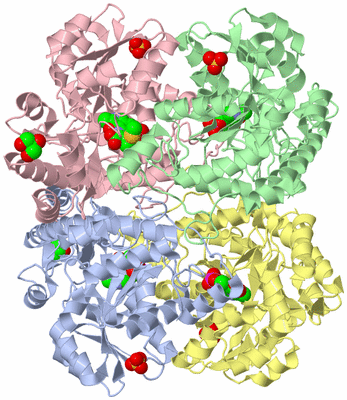 Image Asym./Biol. Unit