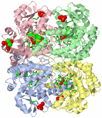 Image Asym./Biol. Unit - sites