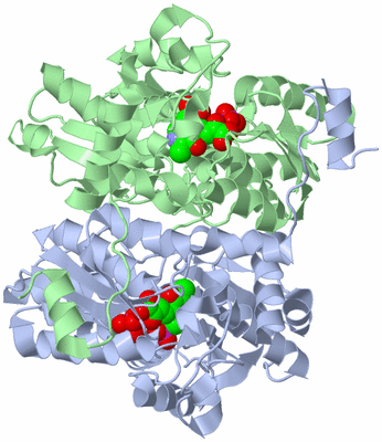 Image Asym./Biol. Unit