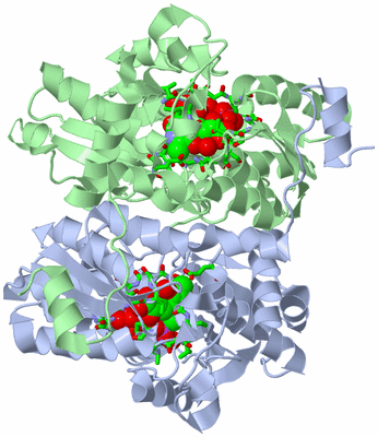 Image Asym./Biol. Unit - sites