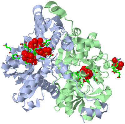 Image Asym./Biol. Unit - sites