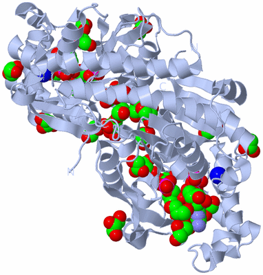 Image Biological Unit 1