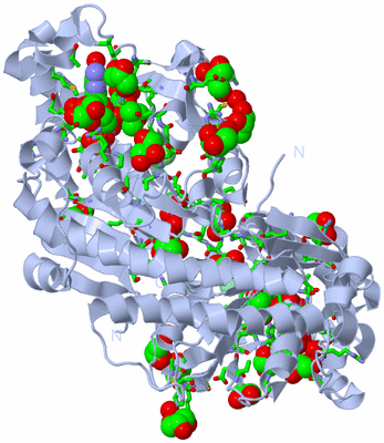 Image Biol. Unit 1 - sites