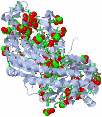 Image Biol. Unit 1 - sites