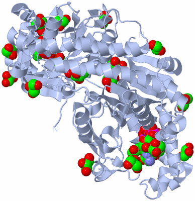 Image Biological Unit 1