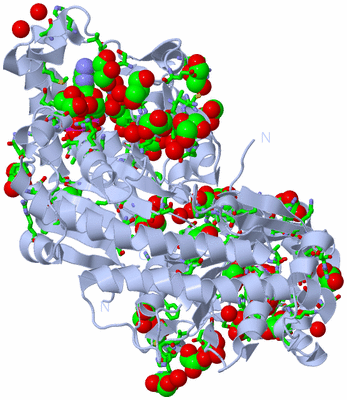 Image Biol. Unit 1 - sites