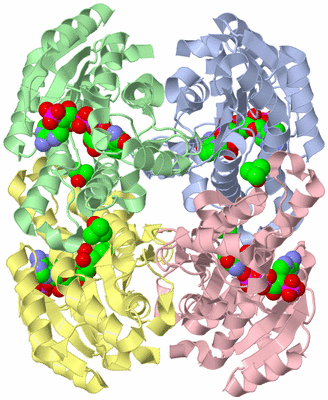 Image Asym./Biol. Unit