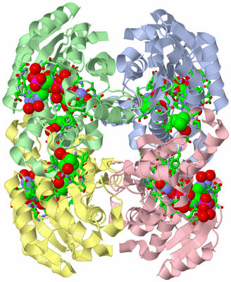 Image Asym./Biol. Unit - sites