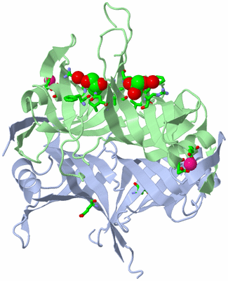 Image Biol. Unit 1 - sites