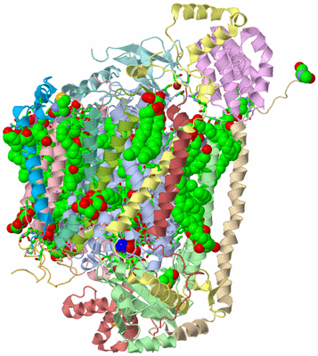 Image Biol. Unit 1 - sites