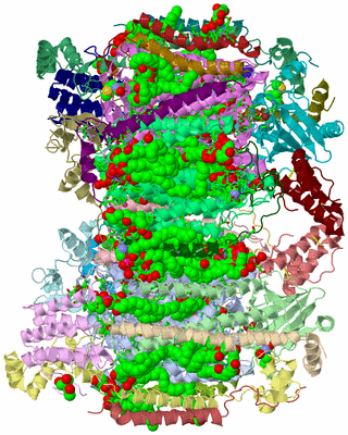 Image Asym. Unit - sites