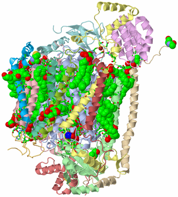 Image Biol. Unit 1 - sites