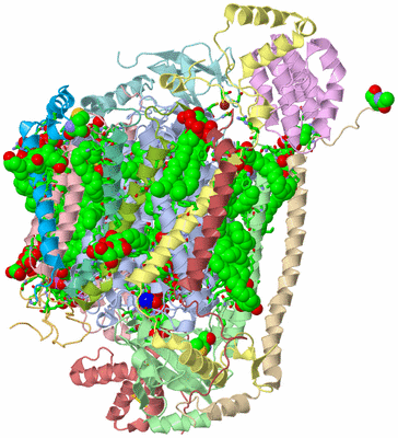 Image Biol. Unit 1 - sites