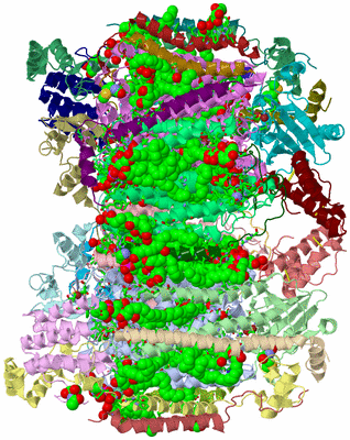 Image Asym. Unit - sites