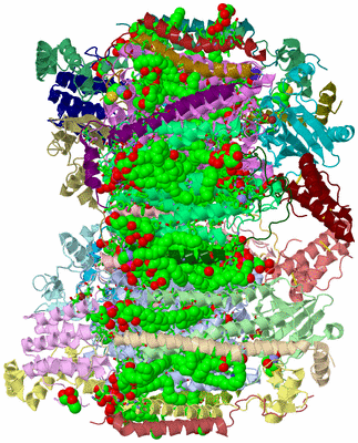 Image Asym. Unit - sites