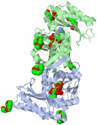 Image Asym./Biol. Unit