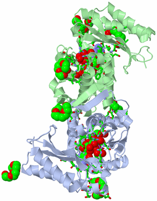 Image Asym./Biol. Unit - sites