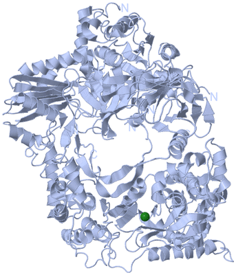 Image Biological Unit 1