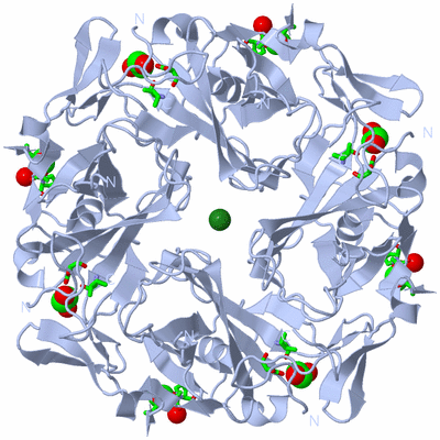 Image Biol. Unit 1 - sites