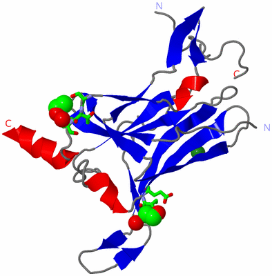 Image Asym. Unit - sites