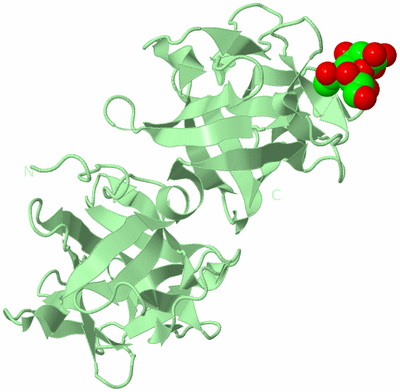 Image Biological Unit 2