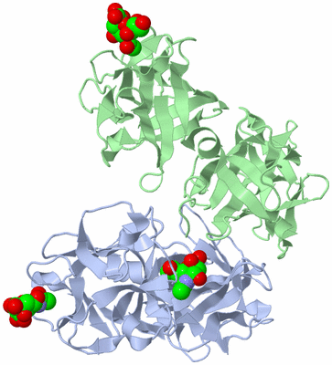 Image Biological Unit 3