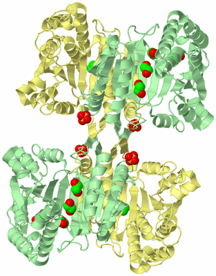 Image Biological Unit 2