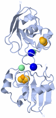 Image Biological Unit 1