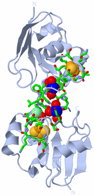 Image Biol. Unit 1 - sites