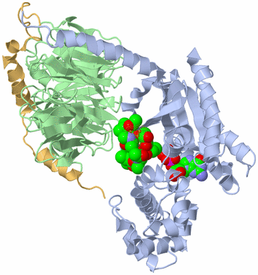 Image Asym./Biol. Unit