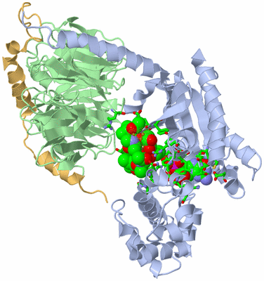 Image Asym./Biol. Unit - sites