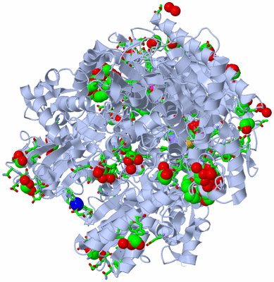 Image Biol. Unit 1 - sites